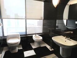 International Plaza (D2), Apartment #485747731